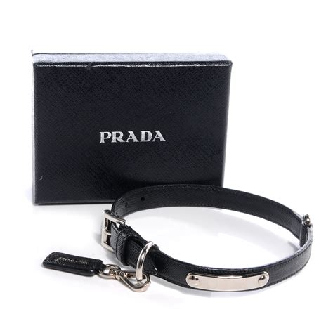 prada hundegeschirr|prada dog collars.